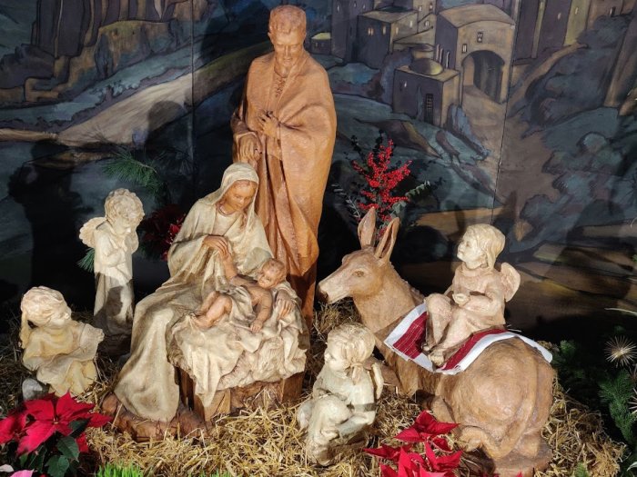 2 navadna Jaslice Varaždin 26